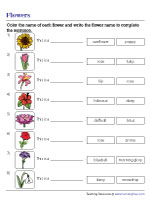 Coloring and Writing Names of Flowers