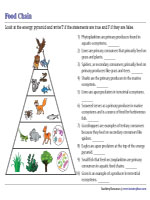 Energy Pyramid - True or False