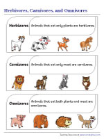 Herbivores, Carnivores, and Omnivores | Chart