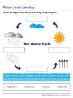 Labeling the Stages in the Water Cycle