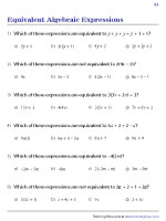 Algebraic Expressions Worksheets