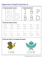 Uppercase and Lowercase B Mixed Practice
