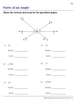 Identifying the Parts - Multiple rays with a Common Vertex