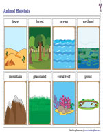 Animal Habitats Flashcards