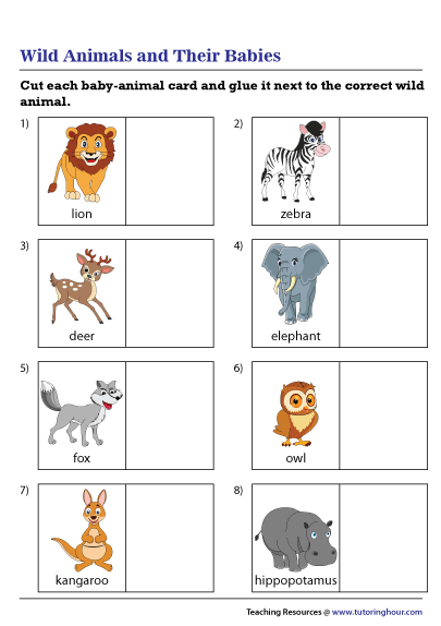 Wild Animals and Their Babies Worksheet