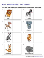 Animals and Their Young Worksheets
