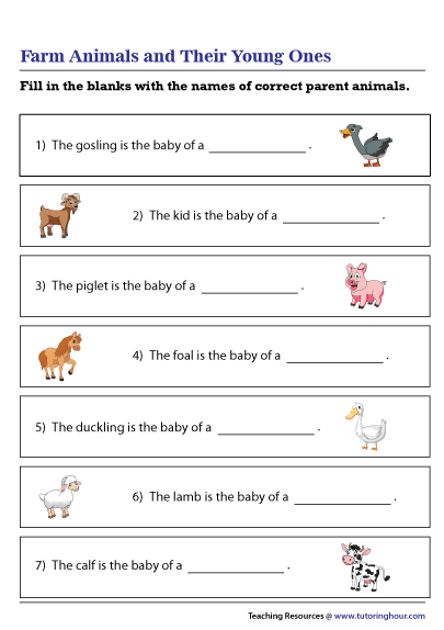 Farm Animals and Their Young Ones Worksheet