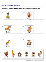 Animals and Their Young Worksheets Animals and Their Young Worksheets