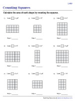 Area of a Rectangular Grid by Counting Squares | Level 2 -  Worksheet #2