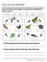 Comparing the Life Cycles of a Butterfly and a Frog