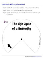 Life Cycle of a Butterfly - Spin Wheel