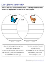 Life Cycle of a Chicken and a Butterfly - Venn Diagram