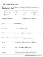 Completing Statements on the Life Cycle of a Chicken