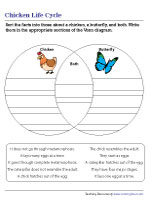 Life Cycle of a Butterfly and a Chicken - Venn Diagram