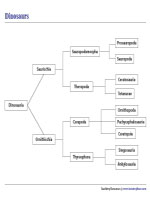 Classification of Dinosaurs Chart