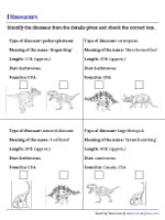 Identifying Dinosaurs Using the Given Information