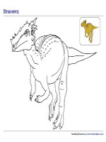 Coloring Dracorex
