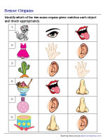 Choosing Appropriate Sense Organs for Given Objects