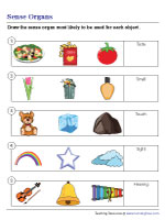 Drawing Sense Organs for Sets of Objects