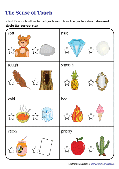 sense of touch worksheet