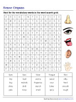 The Five Senses Word Search