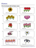 Completing Sentences with Flower Names