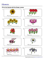 KinderGals: Number Sentence Flowers