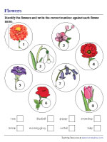 Identifying and Naming Flowers