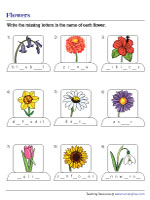 Filling in Missing Letters in Flower Names