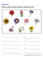Writing Names of Flowers in ABC Order