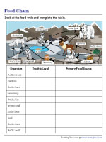 Arctic Food Web - Picture Comprehension