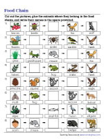 Sequencing Food Chain - Cut and Glue