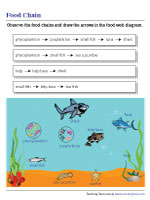 Drawing Arrows in Marine Food Web