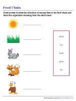 Identifying Direction of Energy Flow