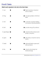 Matching Food-Chain Components to Functions