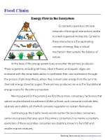 Energy Flow in the Ecosystem - Comprehension