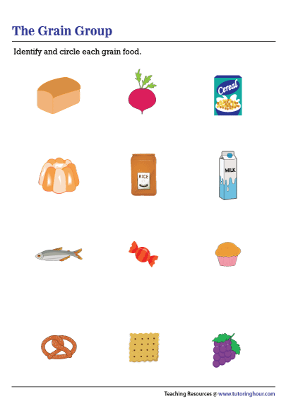 Grains Food Group