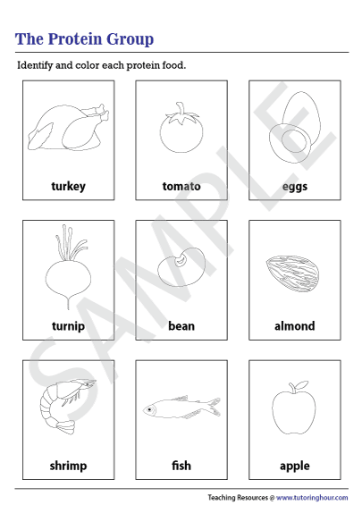 Protein Food Group