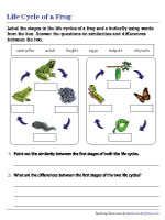 Comparing the Life Cycles of a Frog and a Butterfly