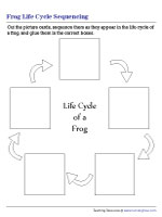 Frog Life Cycle Sequencing