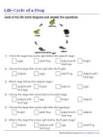 Order of Stages in the Frog Life Cycle - MCQ