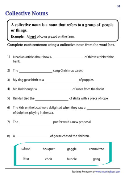 Collective Noun Worksheet