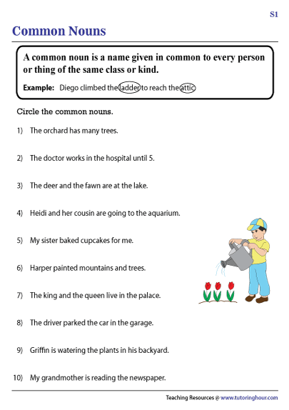 Common Nouns Worksheets