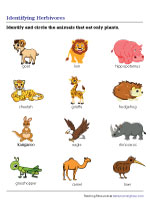 Herbivores, Carnivores, and Omnivores Worksheets Herbivores, Carnivores, and Omnivores Worksheets