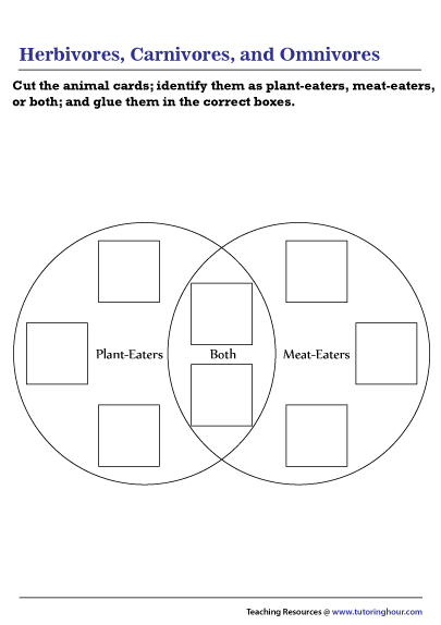 Plant-Eaters, Meat-Eaters, and Both Venn Diagram