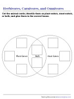 Plant-Eaters, Meat-Eaters, or Both? | Venn Diagram