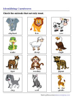 Identifying Carnivores
