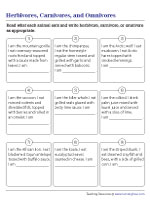 Identifying the Types of Animals Based on What They Eat