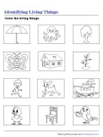 Coloring Living Things