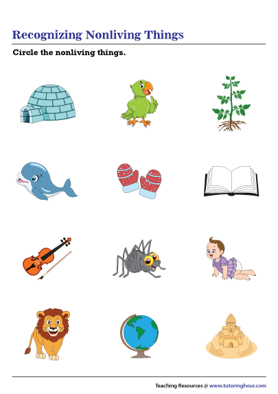 Recognizing Nonliving Things